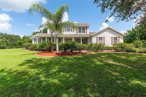17604 White Fox Dr, Parrish, FL 34219 photo 1