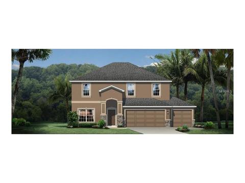 11209 Abaco Island Ave, Riverview, FL 33579 photo 1