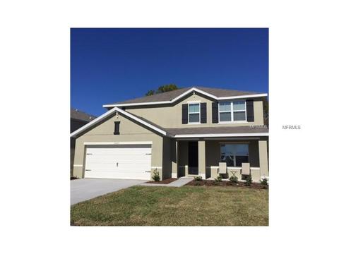 15423 Trinity Fall Way, Bradenton, FL 34212 photo 1