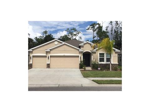 15317 Trinity Fall Way, Bradenton, FL 34212 photo 1