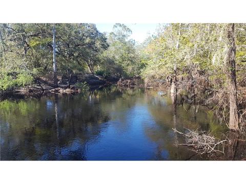 39824 Tworut Rd, Webster, FL 33597 photo 1