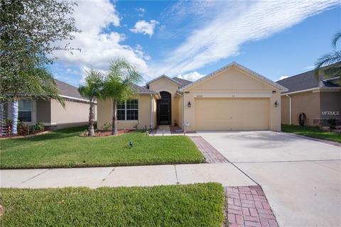 10309 Summer Azure Dr, Riverview, FL 33578 photo 1
