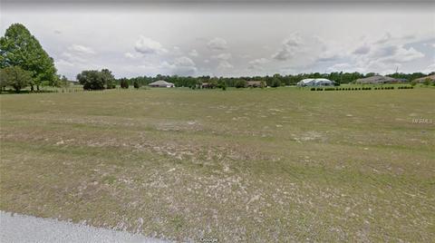 672 E Bismark St, Hernando, FL 34442 photo 1