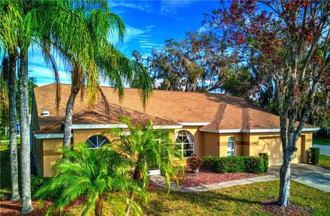 5901 Java Plum Ln, Bradenton, FL 34203 photo 1