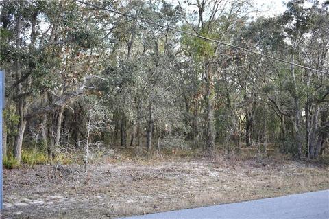 347 N Fresno Ave, Hernando, FL 34442 photo 1