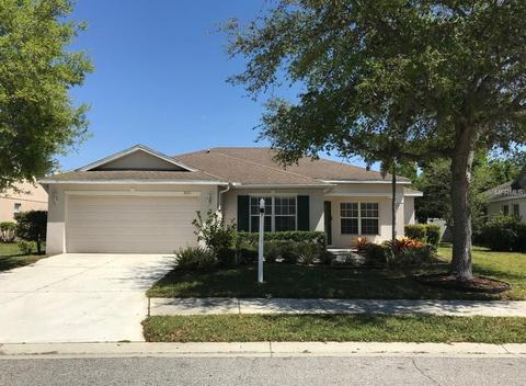 3916 Douglas Hill Pl, Parrish, FL 34219 photo 1