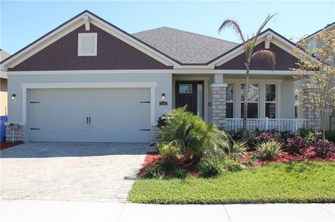 12367 Streambed Dr, Riverview, FL 33579 photo 1