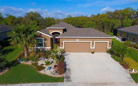 2909 130th Ave E, Parrish, FL 34219 photo 1