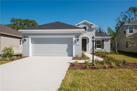 11016 Blue Magnolia Ln, Parrish, FL 34219 photo 1