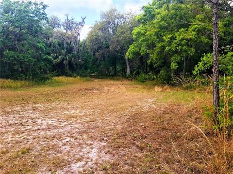 3206 Stagecoach Trl, Wimauma, FL 33598 photo 1