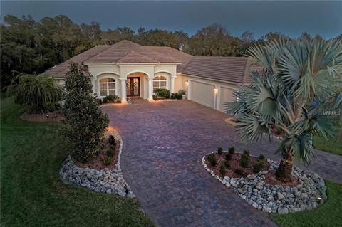 3027 156th Ter E, Parrish, FL 34219 photo 1