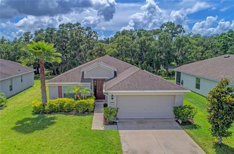 9831 50th Street Cir E, Parrish, FL 34219 photo 1