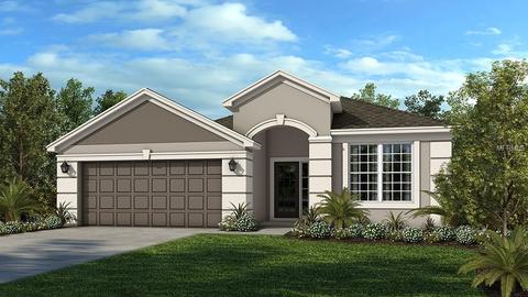 7827 Red Hickory Pl, Riverview, FL 33578 photo 1