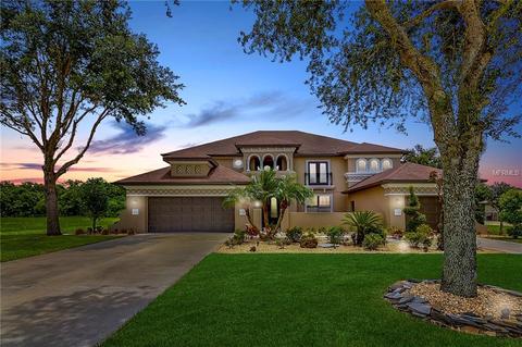 3314 Twin Rivers Trl, Parrish, FL 34219 photo 1