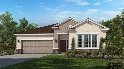 17719 Bright Wheat Dr, Lithia, FL 33547 photo 1