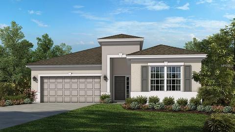17618 Buckingham Garden Dr, Lithia, FL 33547 photo 1