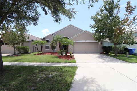 8632 Sandy Plains Dr, Riverview, FL 33578 photo 1