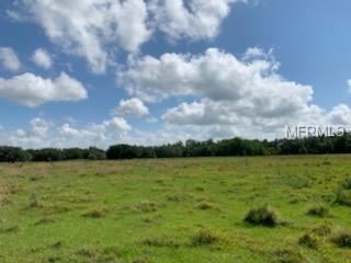7923 NW Pine Level St, Arcadia, FL 34266 photo 1