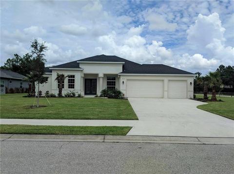16124 30th Ct E, Parrish, FL 34219 photo 1
