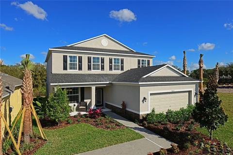 7828 Red Hickory Pl, Riverview, FL 33578 photo 1