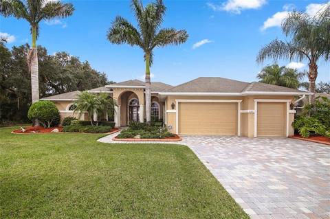 3821 155th Ave E, Parrish, FL 34219 photo 1