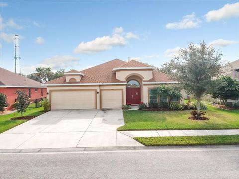 11233 77th St E, Parrish, FL 34219 photo 1