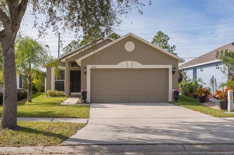 10529 Opus Dr, Riverview, FL 33579 photo 1