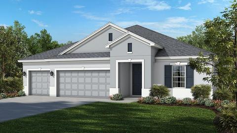 17665 Bright Wheat Dr, Lithia, FL 33547 photo 1