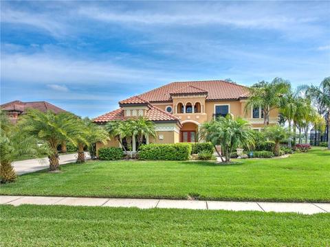 9907 Sorbonne Loop, Seffner, FL 33584 photo 1