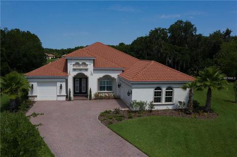 16104 30th Ct E, Parrish, FL 34219 photo 1