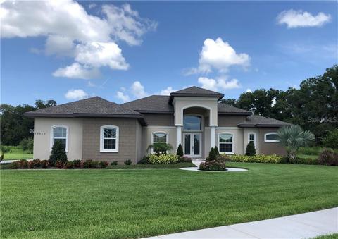 10920 Brice Tree Ct, Lithia, FL 33547 photo 1