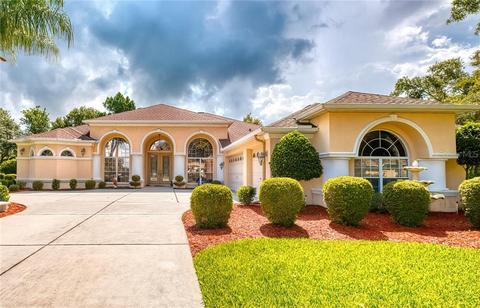 3252 Brunhilde Ct, Spring Hill, FL 34609 photo 1
