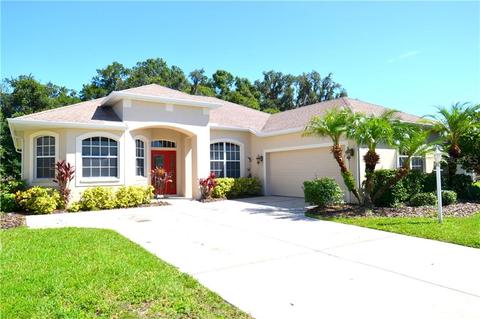 2807 124th Ave E, Parrish, FL 34219 photo 1
