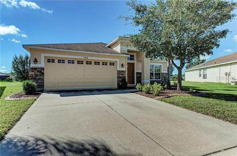 13838 Chalk Hill Pl, Riverview, FL 33579 photo 1