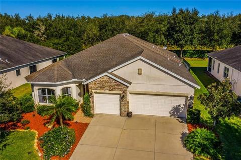 2334 123rd Pl E, Parrish, FL 34219 photo 1