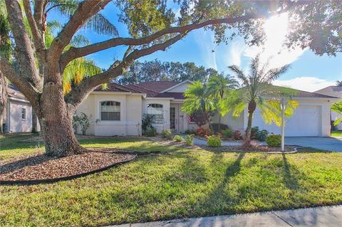 11308 Pine Lilly Pl, Lakewood Ranch, FL 34202 photo 1