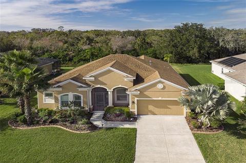 13138 50th Ct E, Parrish, FL 34219 photo 1