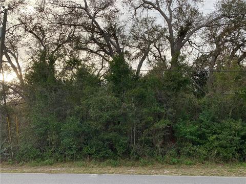 469 Tryon Cir, Spring Hill, FL 34606 photo 1