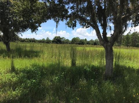205 Th St E, Bradenton, FL 34211 photo 1