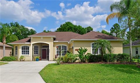 2824 124th Ave E, Parrish, FL 34219 photo 1
