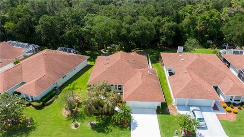 3436 Brookridge Ln, Parrish, FL 34219 photo 1