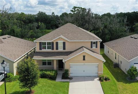 15411 Trinity Fall Way, Bradenton, FL 34212 photo 1