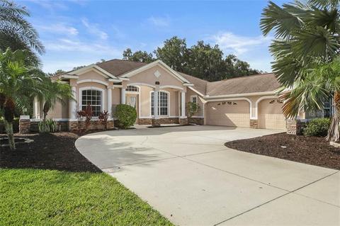 3910 Twin Rivers Trl, Parrish, FL 34219 photo 1