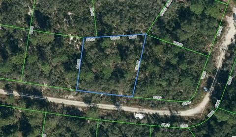 3416 Alachua Ave, Sebring, FL 33875 photo 1