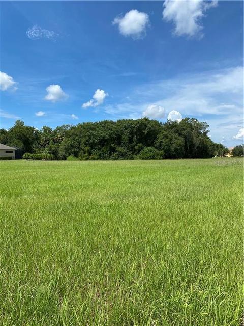 2419 156th Pl E, Parrish, FL 34219 photo 1