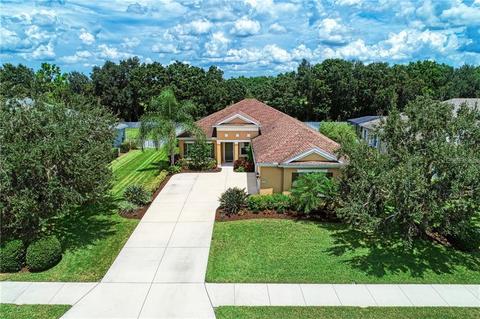 16324 Rivers Reach Blvd, Parrish, FL 34219 photo 1