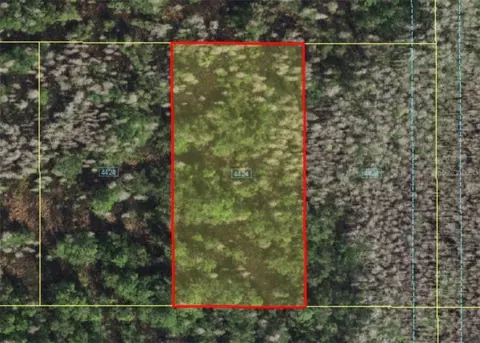 Holopaw Groves Road, Saint Cloud, FL 34773 photo 2