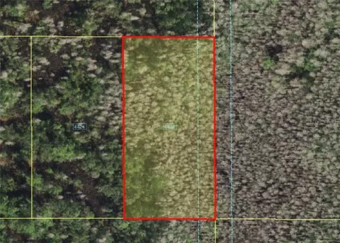 Holopaw Groves Road, Saint Cloud, FL 34773 photo 2