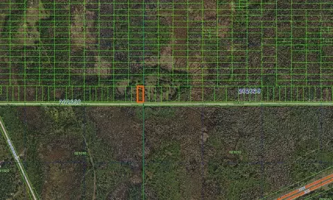 Old Grade Road, Polk City, FL 33868