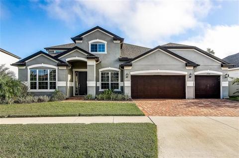 10508 Alcon Blue Dr, Riverview, FL 33578 photo 1